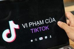 Phát hiện nhiều vi phạm của TikTok tại Việt Nam