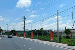 Hải Phòng: Cây xanh hai bên đường NTM kiểu mẫu tại xã An Hồng 'chết khô'