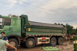 Tai nạn thảm khốc, gia đình 3 người bị xe tải tông tử vong ở Gia Lai