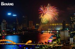 DIFF 2023: Khởi động một mùa hè sôi động