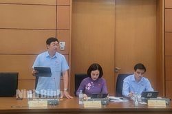 Kỳ họp thứ 5 - Quốc hội khóa XV: Đại biểu Quốc hội tỉnh tham gia thảo luận về một số dự án luật