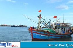 Vững vàng vươn khơi bám biển