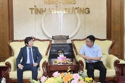 Hải Dương: Tạo điều kiện thuận lợi cho các doanh nghiệp tiêu thụ, xuất khẩu vải thiều và một số nông sản của tỉnh