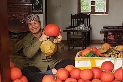 Hà Nội đưa đặc sản bản địa thành 'cây hàng hóa'