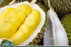 Những ai không nên ăn sầu riêng?
