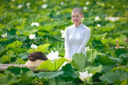 Xúc động với bộ ảnh cô gái bị ung thư bên đầm sen trắng