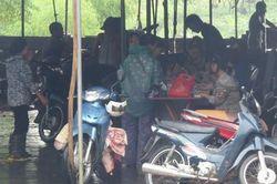 Nhức nhối lò mổ 'chui'