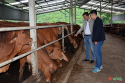 Kinh tế tuần hoàn trong chăn nuôi - giải pháp phát triển bền vững