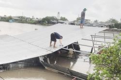 Cà Mau: Lại sạt lở đất lúc nửa đêm