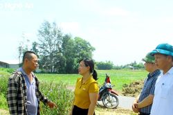Người dân Nghi Lộc bức xúc vì trại gà gây ô nhiễm môi trường ở khu dân cư