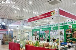 Nghệ An có 32 sản phẩm OCOP tham gia Hội chợ hàng Việt Đà Nẵng 2023