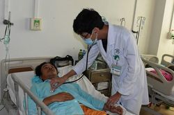 Cảnh báo liên tiếp các ca ngộ độc do ăn nấm mọc từ xác ve sầu