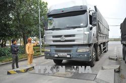 Thí điểm xử phạt vi phạm quá tải qua hệ thống cân tự động