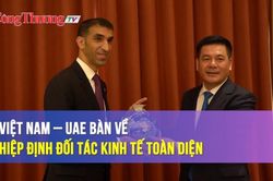 Việt Nam – UAE bàn về Hiệp định đối tác kinh tế toàn diện