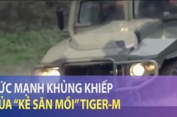 Sức mạnh khủng khiếp của 'kẻ săn mồi' Tiger-M