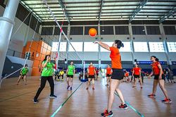 Hấp dẫn môn bóng chuyền hơi