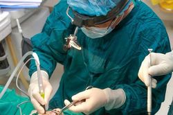 Chi phí cắt amidan của người dân có được bảo hiểm y tế chi trả không?