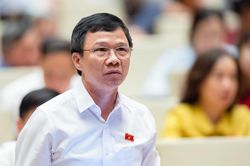 ĐBQH: Để xuất khẩu, quả vải Bắc Giang phải đưa vào TP. HCM chiếu xạ
