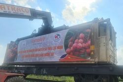 Xuất khẩu thành công lô vải thiều tươi đầu tiên bằng đường sắt đi Trung Quốc