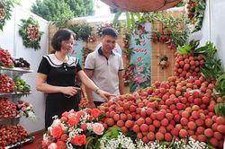 Bắc Giang: Xuất hành tiêu thụ vải thiều chính vụ