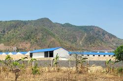 Vụ trại heo gây ô nhiễm: Xử phạt 3 chủ trang trại 960 triệu đồng