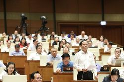 ĐBQH 'chấm điểm' Phó Thủ tướng Trần Lưu Quang trả lời chất vấn