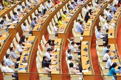 Đại biểu Quốc hội 'truy' trách nhiệm các địa phương về nạn lấn chiếm, sang nhượng đất sản xuất