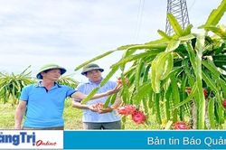Tăng cường sự lãnh đạo của Đảng đối với hoạt động Hội Nông dân huyện Vĩnh Linh