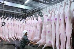 Khuyến khích tổ chức, cá nhân đầu tư, xây dựng dây chuyền giết mổ động vật treo hiện đại