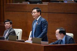 Nghị trường nóng câu chuyện đăng kiểm: Làm thế nào để 'đánh chuột không vỡ bình'