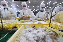 Triển vọng ngành thủy sản ảm đạm