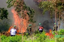Phú Yên: Chủ động phòng, chống cháy rừng