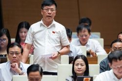 Hồ sơ đăng kiểm rất 'đẹp' nhưng vẫn xảy ra sai phạm