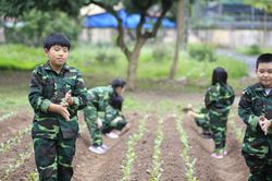 Mở ra ồ ạt, tour trại hè, học kỳ quân đội bớt 'nóng'