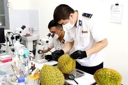 Đề xuất Hải quan Trung Quốc sớm ký Nghị định thư về an toàn thực phẩm