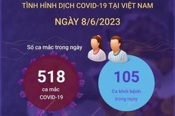 Tình hình dịch COVID-19 ở Việt Nam ngày 8/6