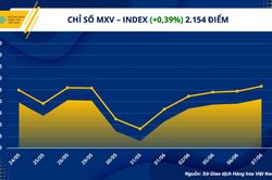Chỉ số hàng hóa MXV- Index tăng phiên thứ năm liên tiếp