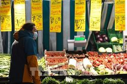 Kinh tế Eurozone rơi vào suy thoái kỹ thuật