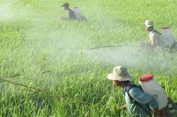 Giải pháp nào cho hàng trăm nghìn tấn rác thải nhựa từ nông nghiệp?