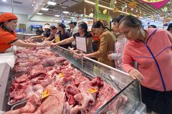 Giá lợn hơi ngày 8/6: Có dấu hiệu khởi sắc, Bạc Liêu ghi nhận mức giá cao nhất cả nước