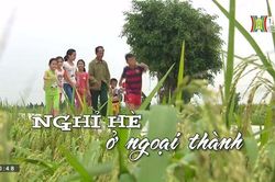 Nghỉ hè ở ngoại thành | Nhịp sống Hà Nội | 08/06/2023