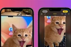Apple cập nhật tính năng mới trên iOS 17 dành riêng cho 'hội cuồng thú cưng'