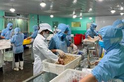 Bắc Kạn nâng cao vị thế các sản phẩm OCOP