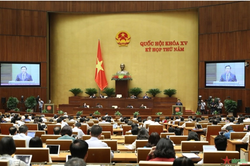 Ý kiến cử tri