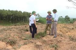 Kỷ luật Khiển trách nguyên Chủ tịch xã về hành vi phá rừng