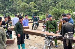 Lai Châu: Ngăn chặn nhóm người vận chuyển gỗ trái phép trên rừng phòng hộ