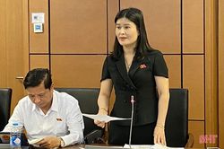 Khai thác hiệu quả, tránh lãng phí tài nguyên đất đai