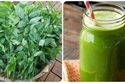 Tác hại của nước rau ngót sống