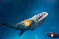Cá voi cổ đại Bitcoin thức giấc sau 10 năm