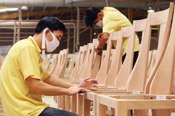 Kiến nghị bỏ thuế giá trị gia tăng với gỗ nguyên liệu nhằm tránh gian lận hoàn thuế